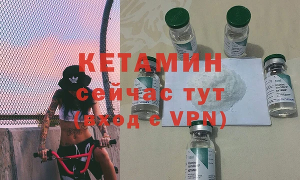 крисы Сосновый Бор
