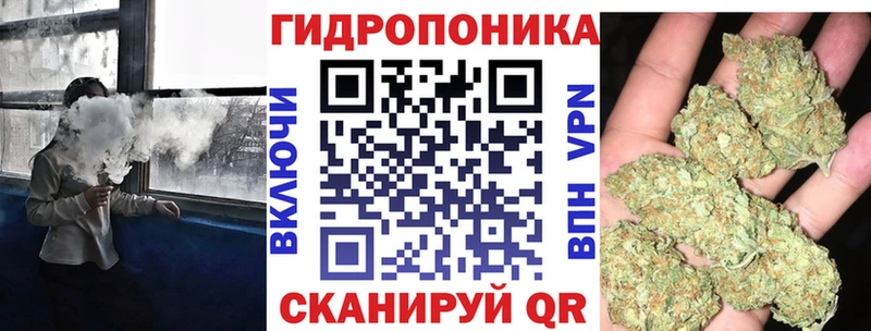 Бошки марихуана конопля  Андреаполь 